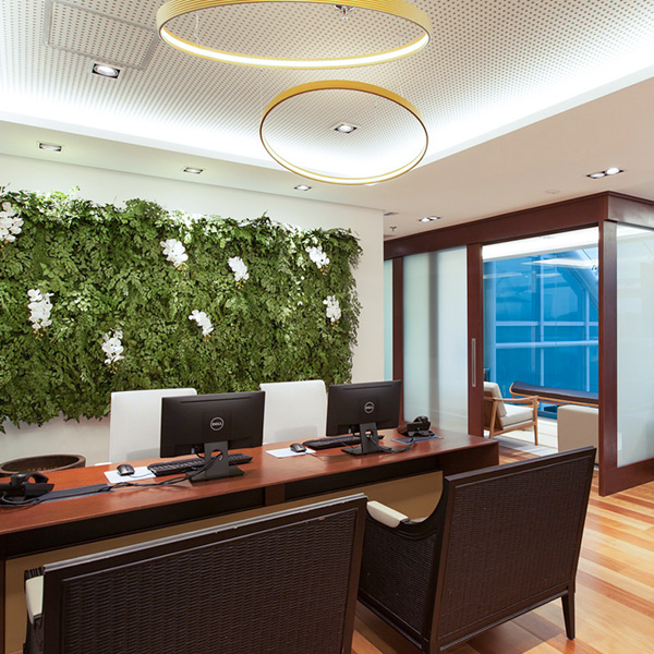 instituto-de-hidrocefalia-de-pressao-normal-hospital-moriah